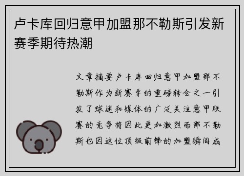 卢卡库回归意甲加盟那不勒斯引发新赛季期待热潮